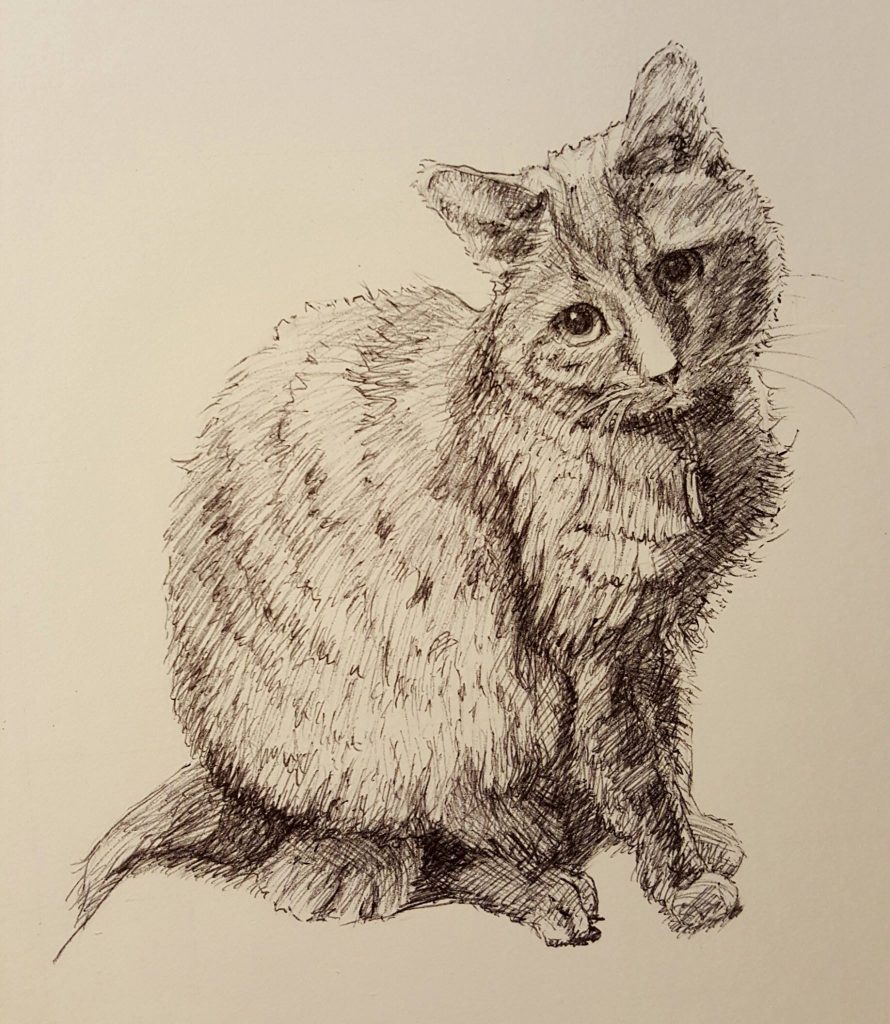 Bugsy - Cat Comission