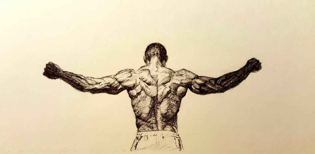 Anatomy Study - Back