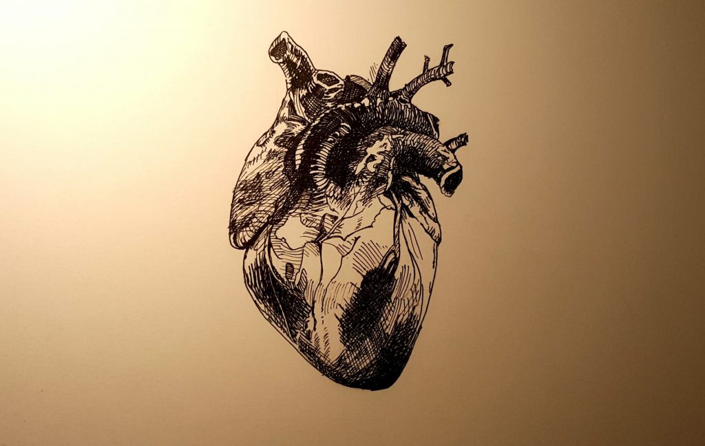 Heart Study