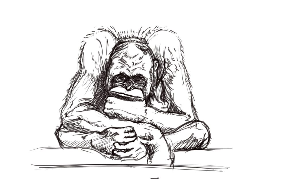 Ape sketch